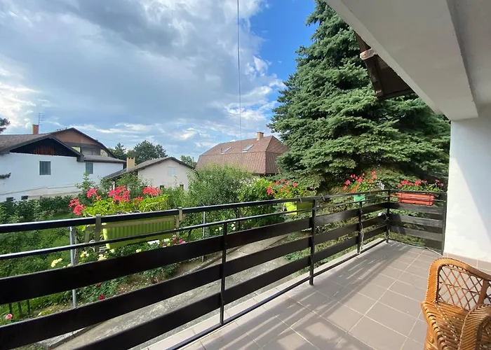 Simsir Villa Novi Sad Wifi